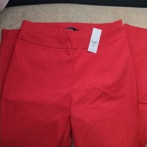 NY&C  size small tall pants